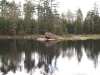 Deer Pond